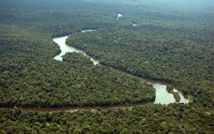 Governo quer permitir exploração mineral na região, que fica entre PA e AP