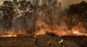 Número de mortos por incêndios na Califórnia sobe para 24