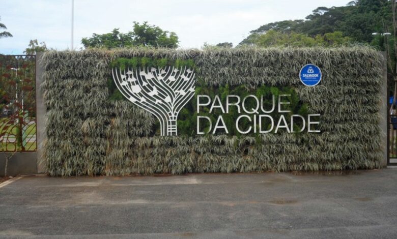 Fim de semana no Parque da Cidade tem atrações como FitDance e feira orgânica